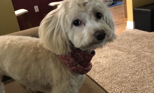 Barks and Bubbles llc 3079 Main St, Marlette Michigan 48453