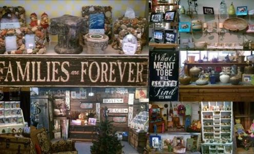 Bittersweet of Cheboygan