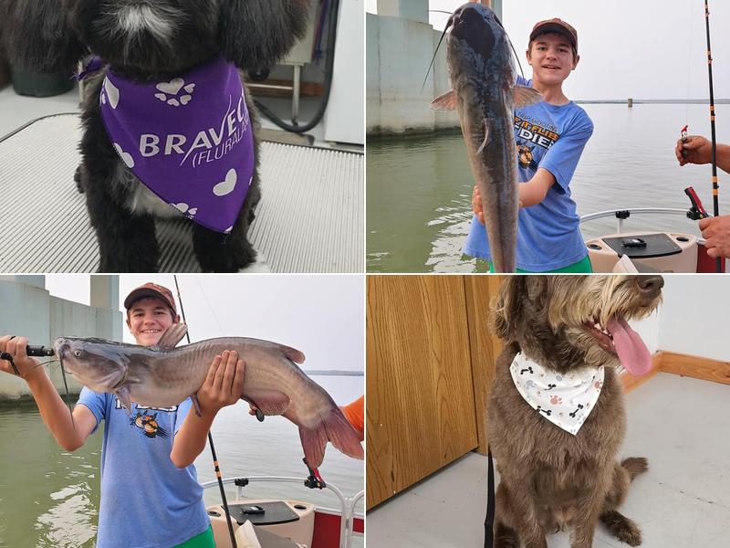 Chamberlain Veterinary Supply, LLC