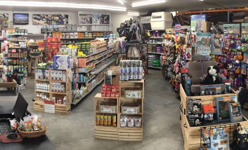 Pet Place Plus Jackson