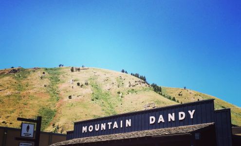 Mountain Dandy Jackson