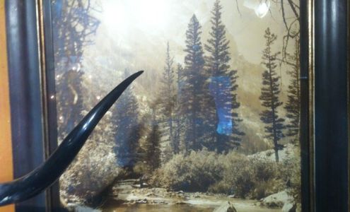 Cayusewesternamericana