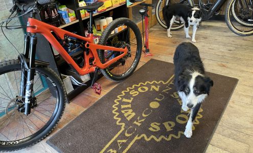 Wilson BackCountry Sports Wilson