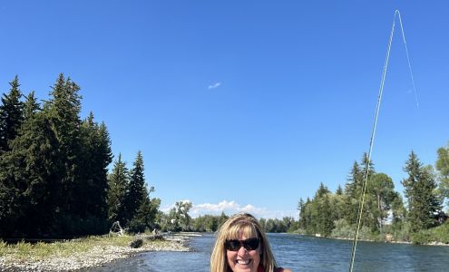 Snake River Angler Moose