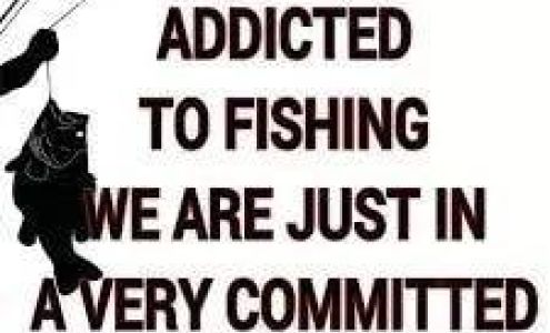 Jackson Cardinal Flies Jackson