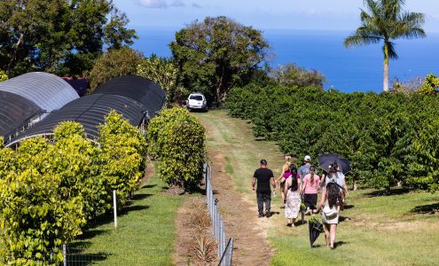 Greenwell Farms Kealakekua