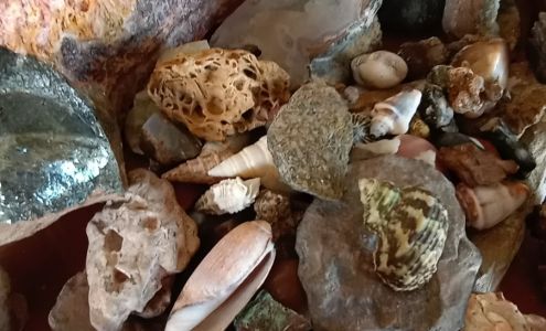 Fillmore Package Agency