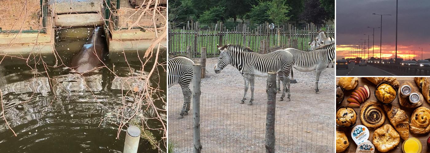 Marwell Zoo Coffee Corner