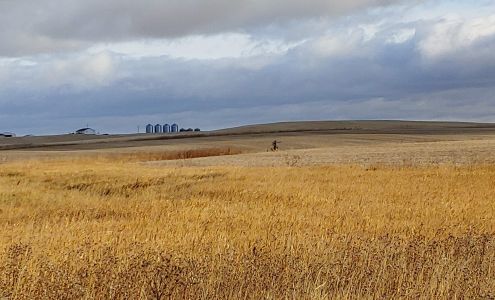 Zeidler Hardware Plentywood