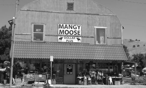 Mangy Moose Mercantile Plains