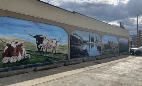 Montana State Liquor and Flower Shop Plains