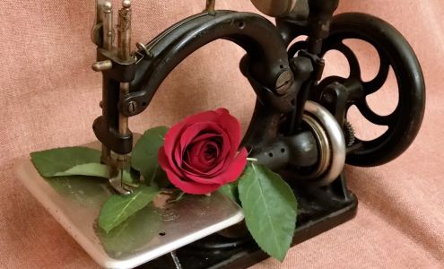 T Rose Etc LLC Meeker