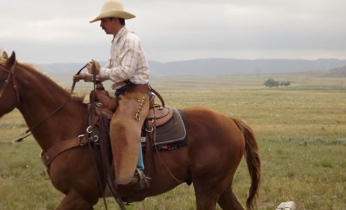 Big Lonely Saddlery LLC Guernsey