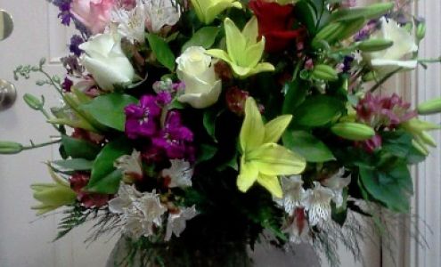 Tipsy Tulip Designs 155 S Reese St, Battle Mountain Nevada 89820