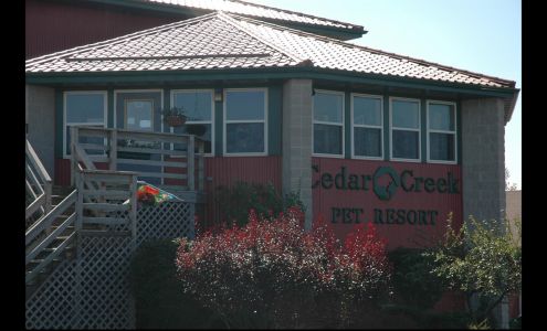 Cedar Creek Pet Resort 3473 WI-60 Trunk, Jackson Wisconsin 53037