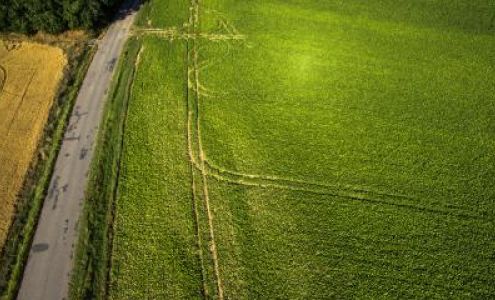 Melrose Farm Service, Inc. Melrose