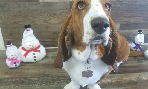 A Country Pet Parlor 2638 Commercial Way, Rock Springs Wyoming 82901