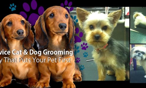 Pampered Paws Pet Grooming 918 5th Ave, Antigo Wisconsin 54409