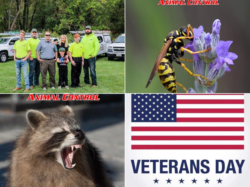 Stateline Animal Control