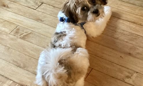 Paw Spa 2570 Co Hwy 3, Two Harbors Minnesota 55616