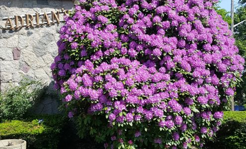 Adrian's Jewelry Shop South Weymouth