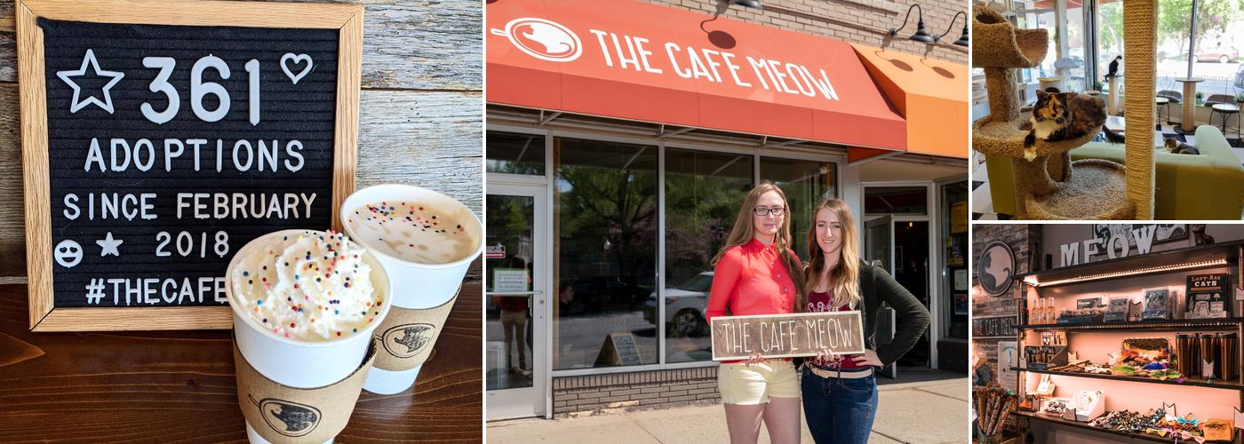 The Cafe Meow