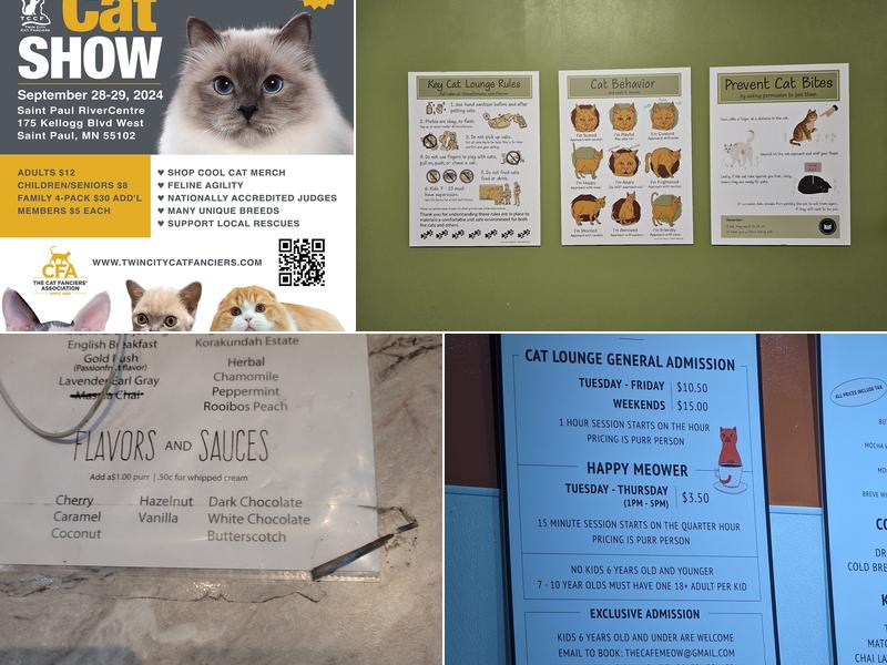 The Cafe Meow Menu