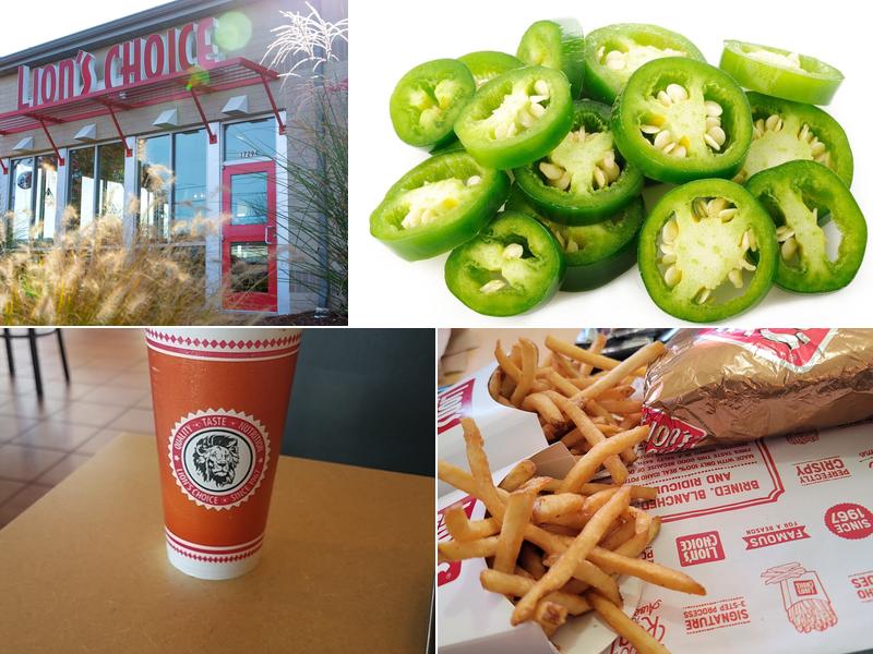 Lion's Choice - Elm Point