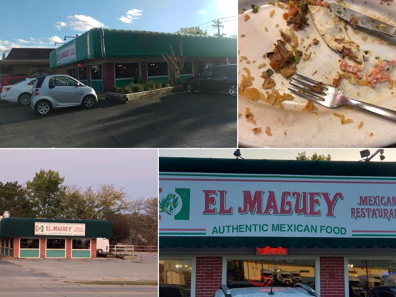 EL Maguey