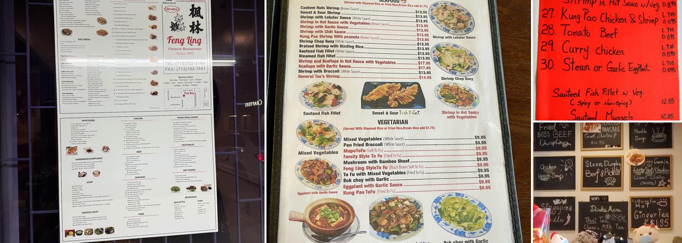 Feng Ling Restaurant Menu