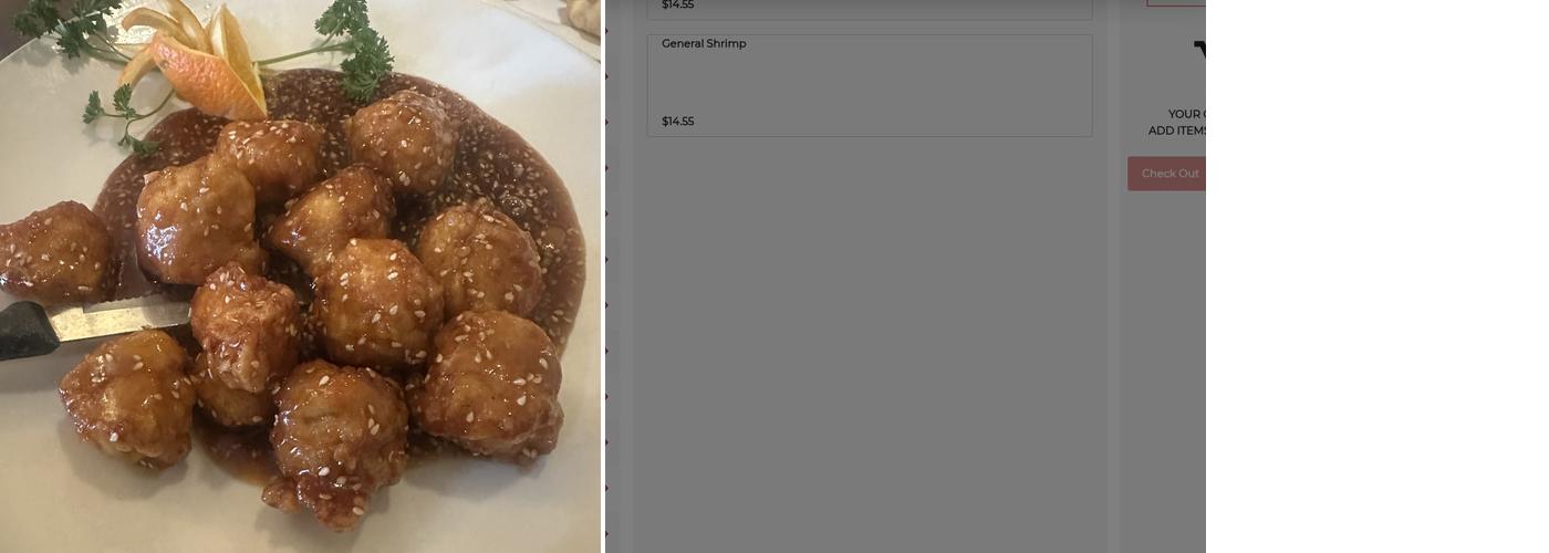 T Jin China Diner Menu