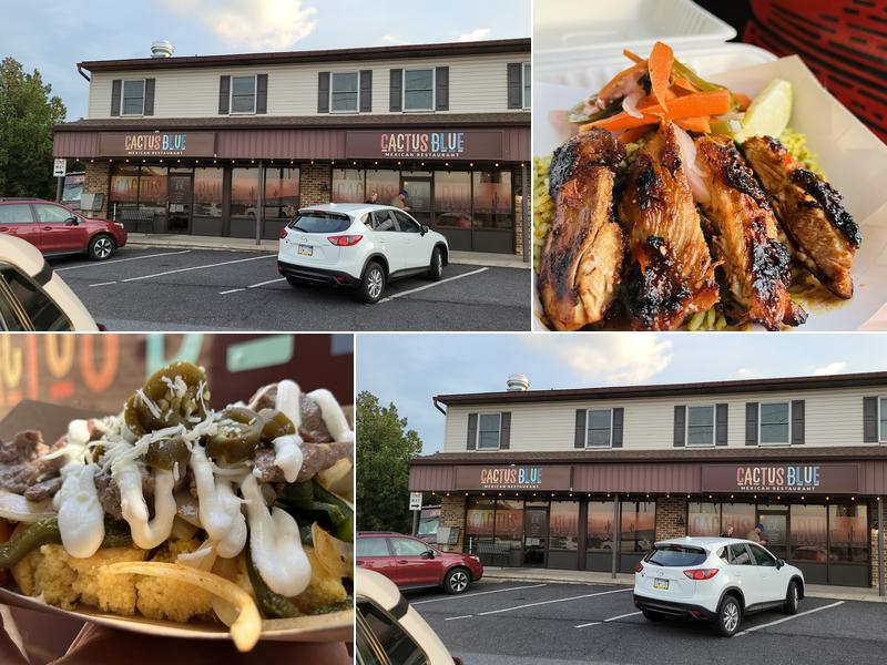 Cactus Blue 4030 Chestnut St, Emmaus