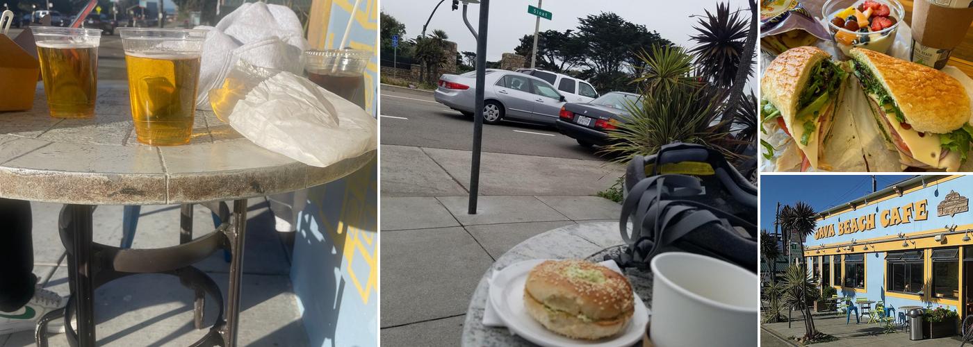 Java Beach At The Zoo