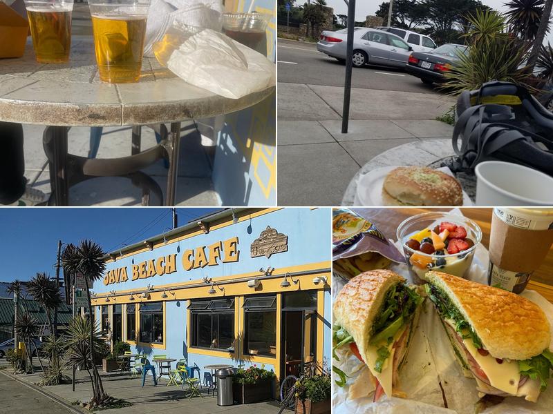 Java Beach At The Zoo