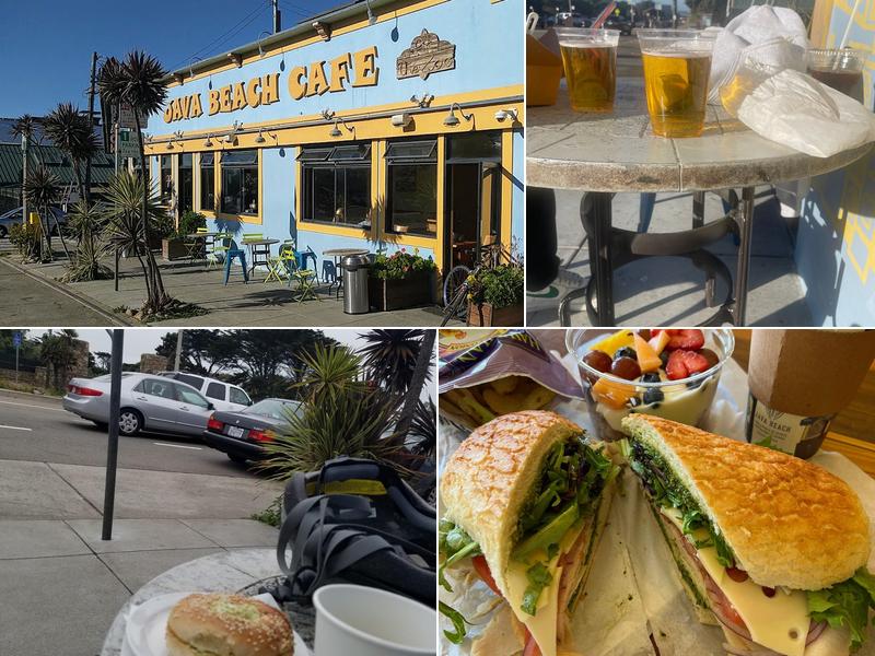 Java Beach At The Zoo