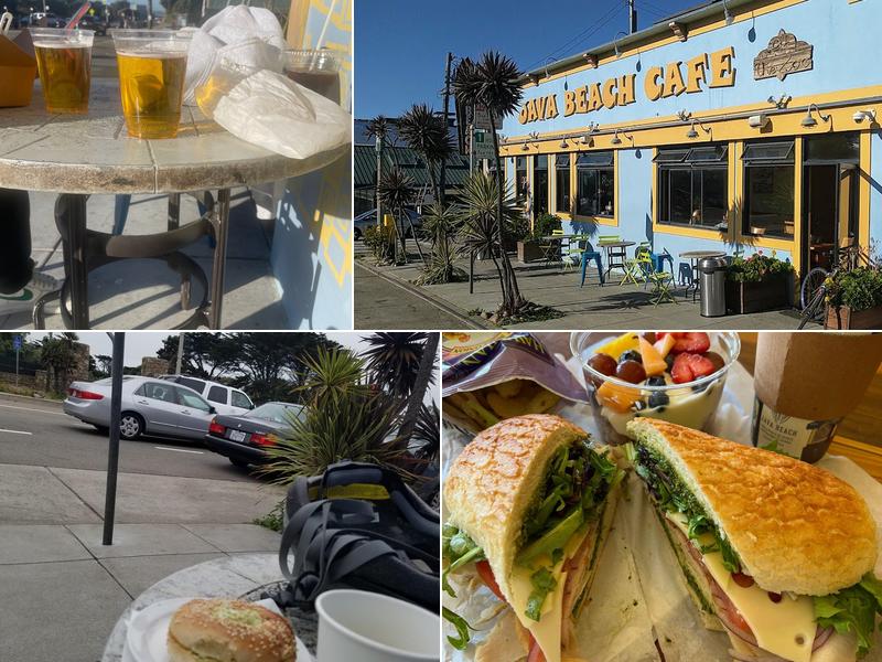 Java Beach At The Zoo