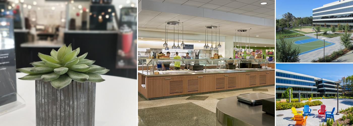 Thrive Cafe at Rosewood Commons