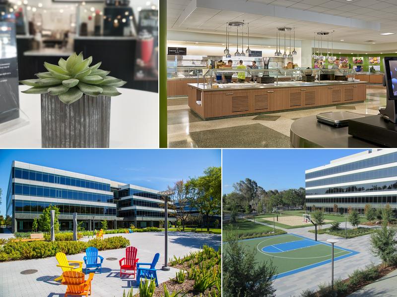 Thrive Cafe at Rosewood Commons