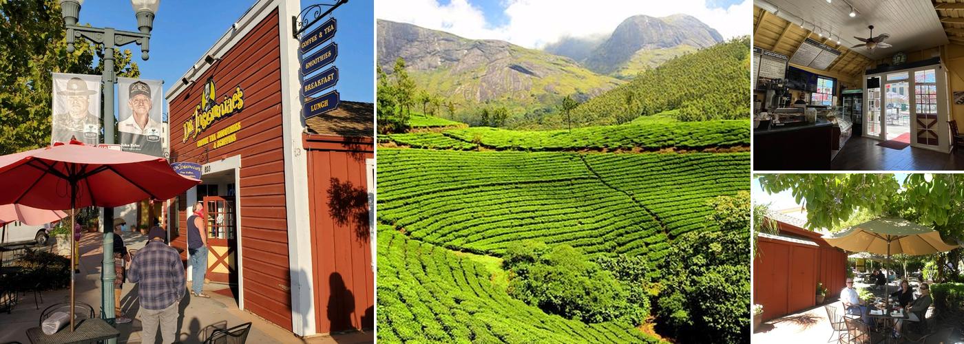 Dr. Insomniac's Fine Coffee, Tea, Smoothies & Cafe