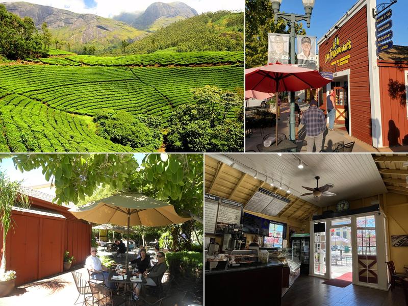 Dr. Insomniac's Fine Coffee, Tea, Smoothies & Cafe