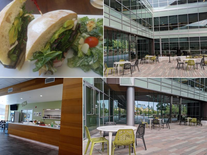 Starting From Scratch Catering 400 Aviation Blvd #300, Santa Rosa