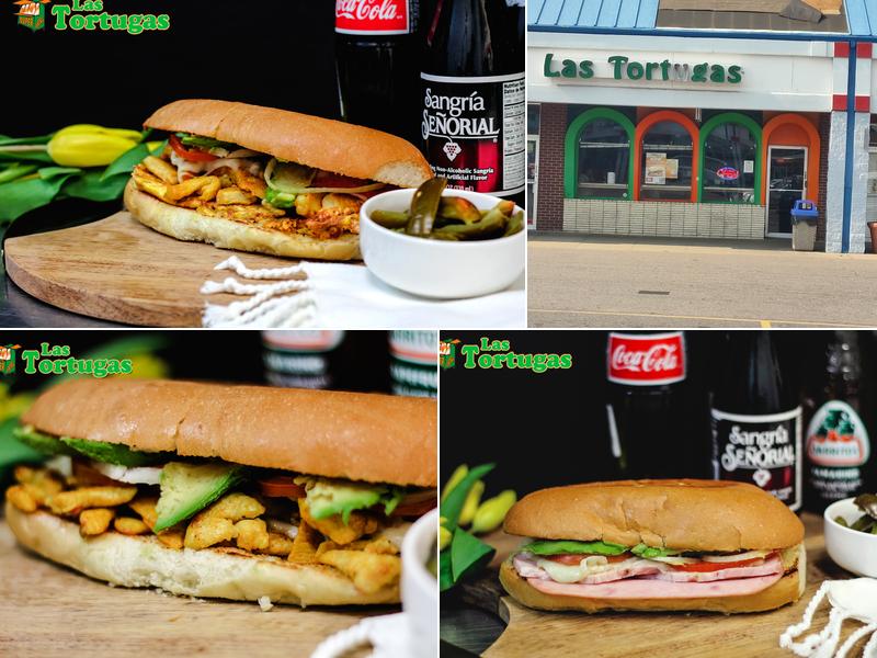 Las Tortugas de Aurora