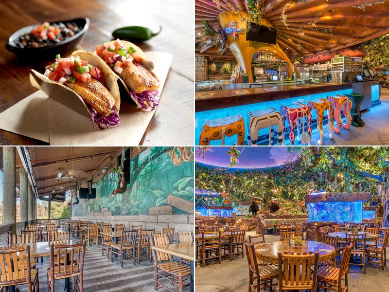 Rainforest Cafe 1800 E Buena Vista Dr, Lake Buena Vista