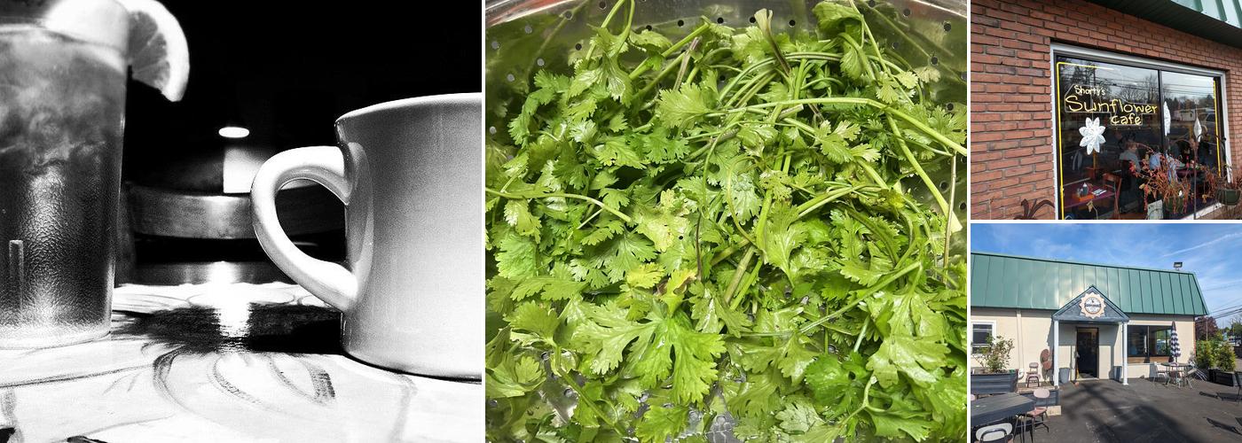 Shorty's Sunflower Cafe