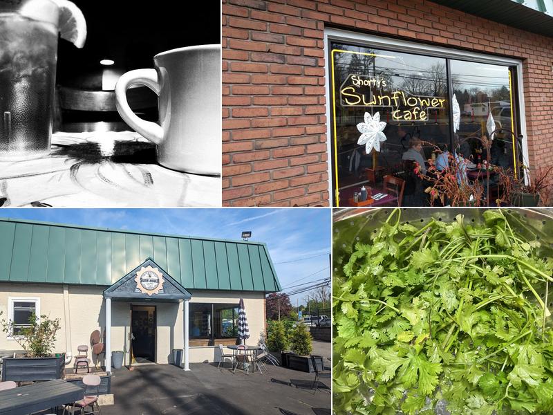 Shorty's Sunflower Cafe