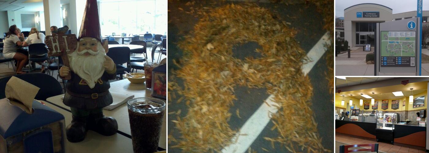 Sandella's Flatbread Cafe