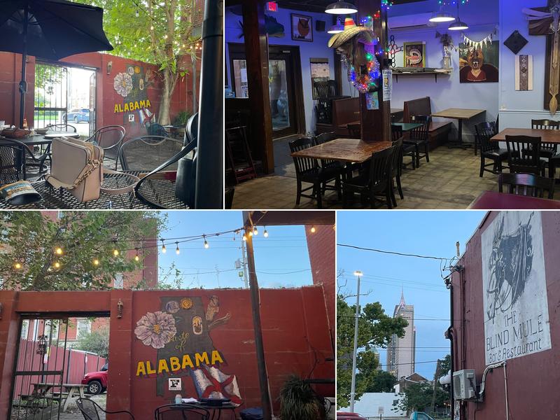 The Blind Mule 57 N Claiborne St, Mobile