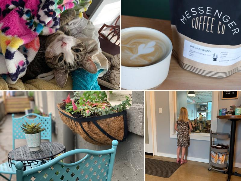 Whiskers Cat Cafe & Coffeehouse