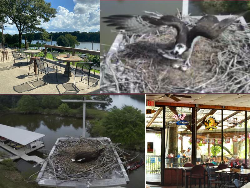 Capitol Oyster Bar 617 Shady St, Montgomery