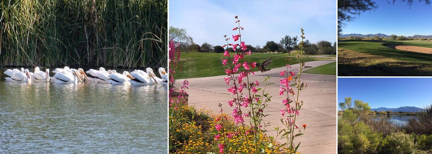 Crooked Tree Bar & Grill